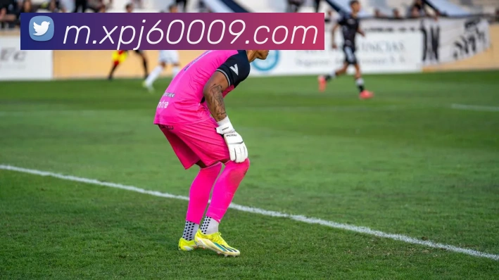 新葡京娱乐城官网品牌故事