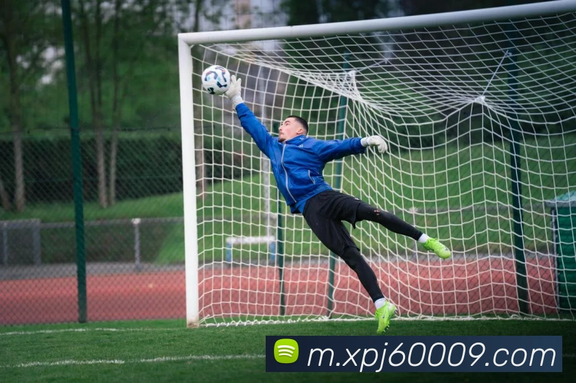 新葡京娱乐城官网服务体系